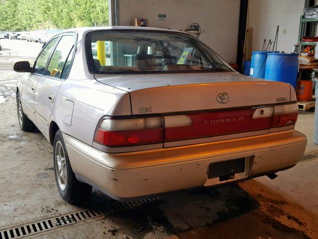 1NXBB02EXTZ450341 - 1996 TOYOTA COROLLA DX TAN photo 3