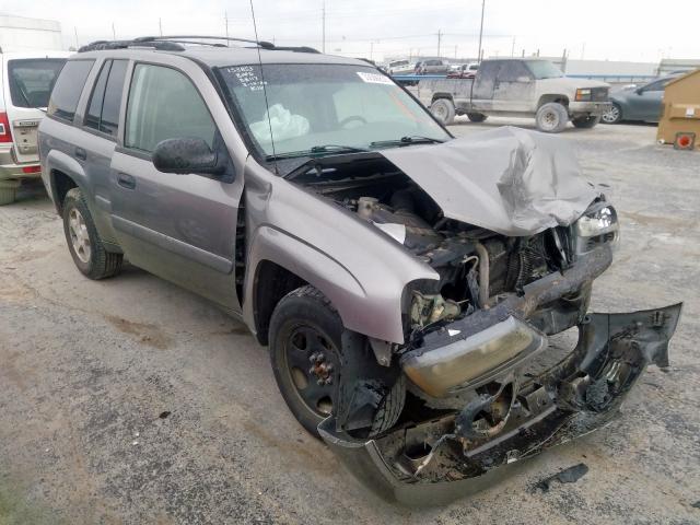 1GNDT13S652335083 - 2005 CHEVROLET TRAILBLAZER LS  photo 1