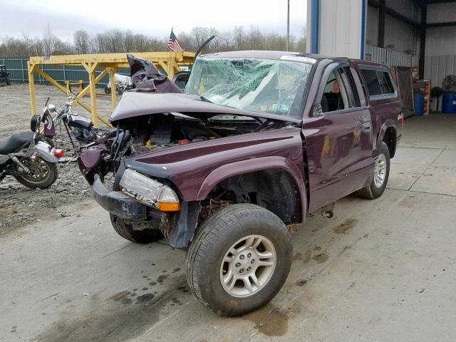 1D7HG12K54S623116 - 2004 DODGE DAKOTA SXT PURPLE photo 2