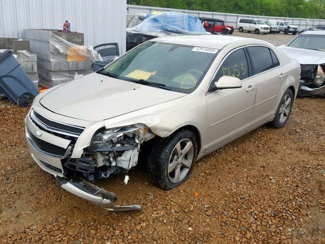1G1ZC5E03AF131466 - 2010 CHEVROLET MALIBU 1LT 金色 照片 2