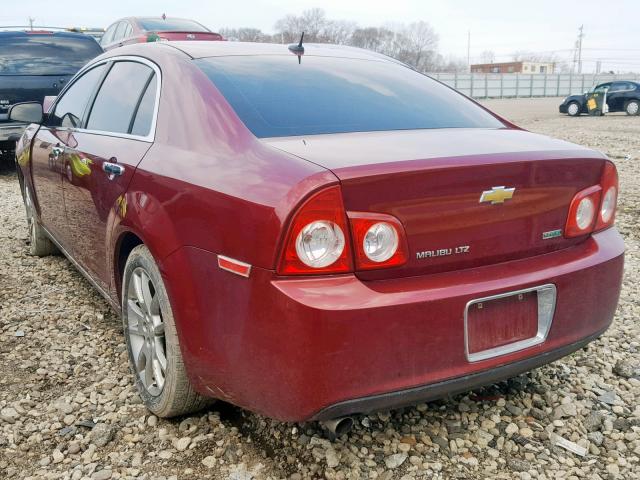 1G1ZE5EU0BF301197 - 2011 CHEVROLET MALIBU LTZ RED photo 3