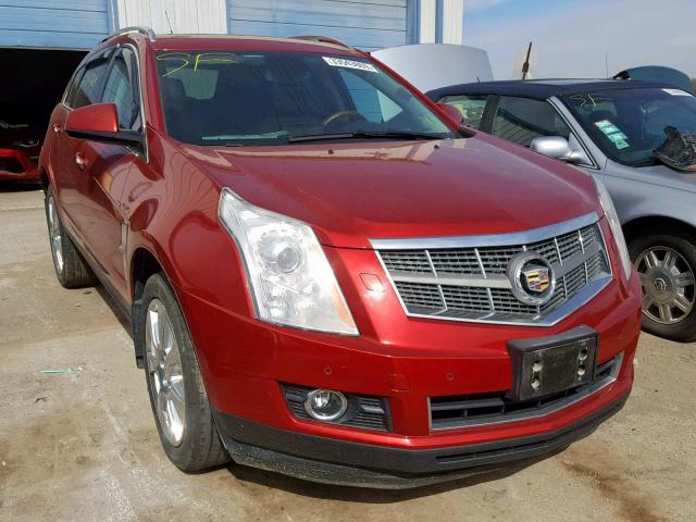 3GYFNBEY4BS542634 - 2011 CADILLAC SRX PERFOR 红色 照片 1