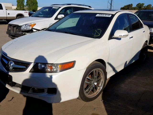 JH4CL96898C007317 - 2008 ACURA TSX WHITE photo 2