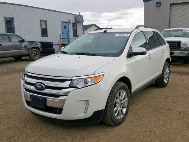 2FMDK4JC4DBB11503 - 2013 FORD EDGE SEL WHITE photo 2