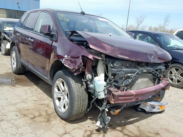 2FMDK4JC7BBA38365 - 2011 FORD EDGE SEL PURPLE photo 1