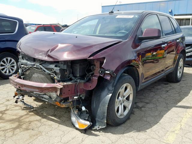 2FMDK4JC7BBA38365 - 2011 FORD EDGE SEL PURPLE photo 2