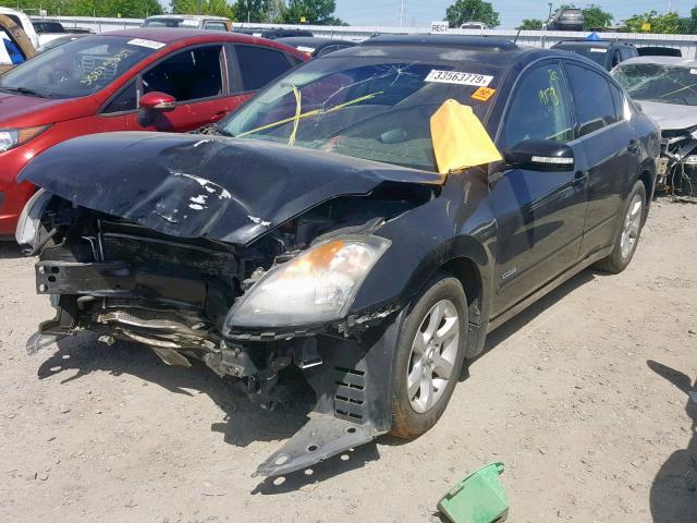 1N4CL21E98C282665 - 2008 NISSAN ALTIMA HYB BLACK photo 2