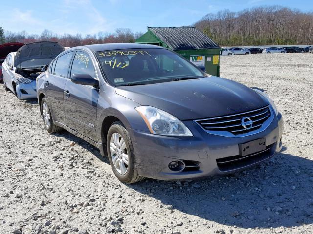 1N4CL2AP7AC177243 - 2010 NISSAN ALTIMA HYB GRAY photo 1