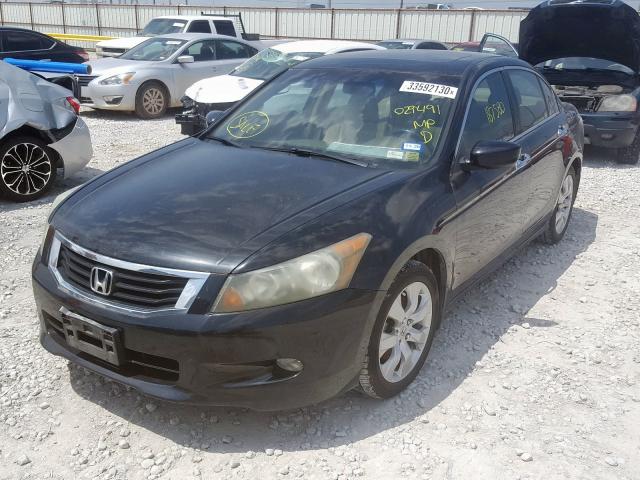 1HGCP3F86AA029491 - 2010 HONDA ACCORD EXL  photo 2