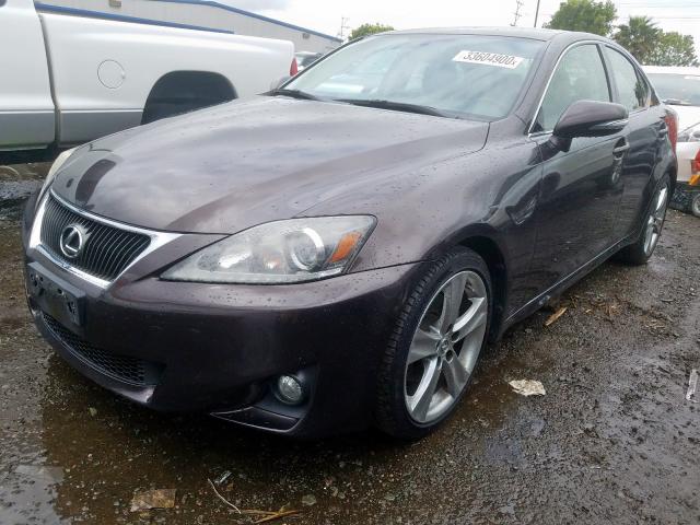 JTHBF5C23C5176368 - 2012 LEXUS IS 250  photo 2