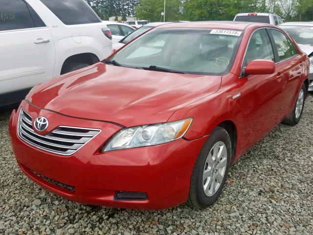 4T1BB46K18U060498 - 2008 TOYOTA CAMRY HYBR RED photo 2