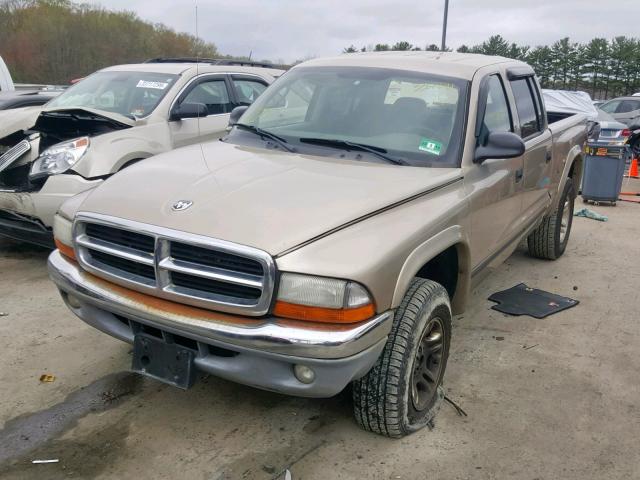 1D7HG48N64S618350 - 2004 DODGE DAKOTA QUA TAN photo 2