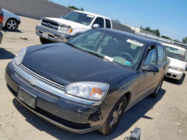 1G1ZT54875F126638 - 2005 CHEVROLET MALIBU LS BLACK photo 2