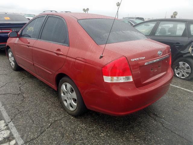 KNAFE122885584045 - 2008 KIA SPECTRA EX  photo 3