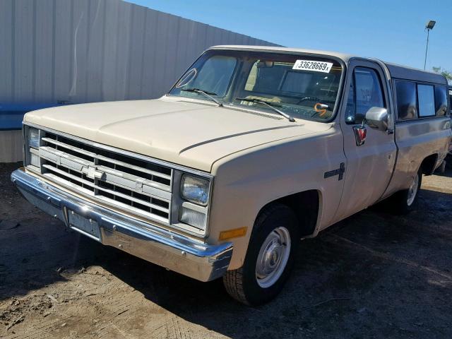 1GCDR14Z2HS107590 - 1987 CHEVROLET R10 TAN photo 2