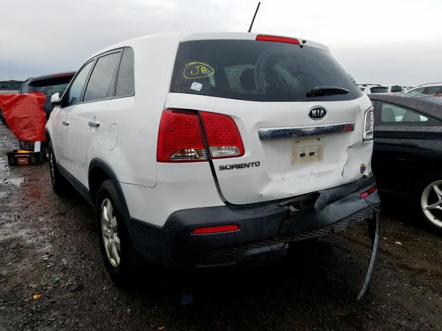 5XYKTCA12BG111056 - 2011 KIA SORENTO BASE  photo 3