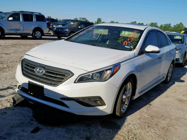 5NPE34AF6FH026783 - 2015 HYUNDAI SONATA SPO WHITE photo 2