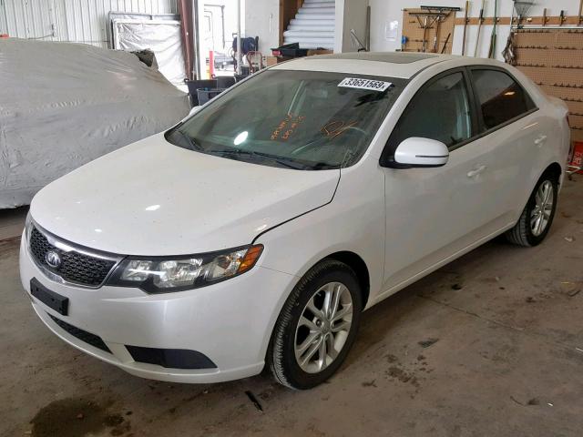 KNAFU4A28C5558883 - 2012 KIA FORTE EX WHITE photo 2