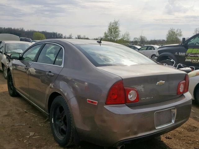 1G1ZC5EB6AF239713 - 2010 CHEVROLET MALIBU 1LT 棕色 照片 3