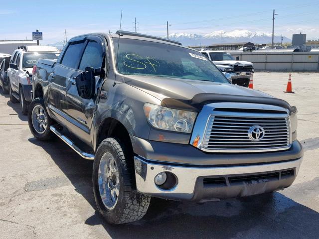 5TFHW5F1XAX125384 - 2010 TOYOTA TUNDRA CRE TAN photo 1