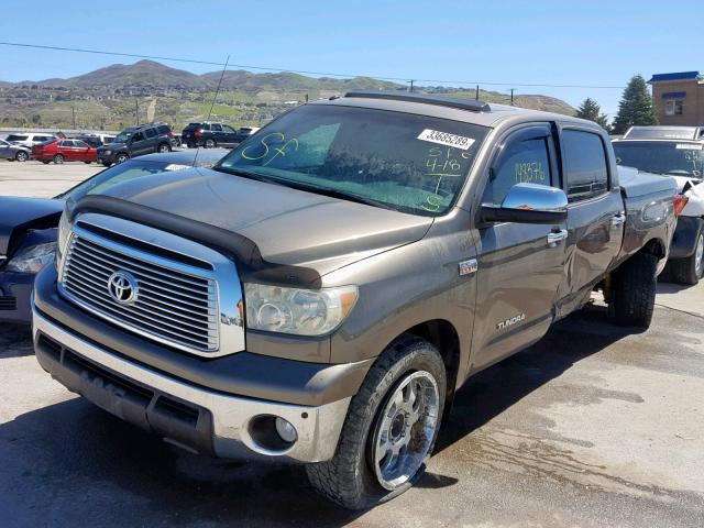 5TFHW5F1XAX125384 - 2010 TOYOTA TUNDRA CRE TAN photo 2