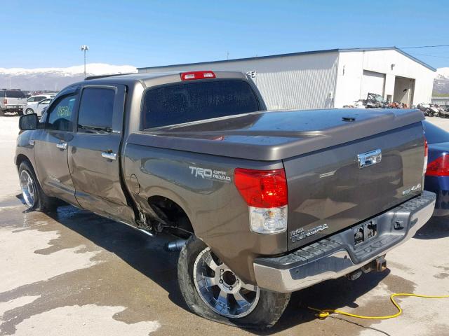 5TFHW5F1XAX125384 - 2010 TOYOTA TUNDRA CRE TAN photo 3