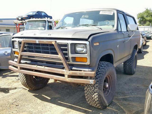 1FMDU15F6BLA01532 - 1981 FORD BRONCO U10 BLACK photo 2