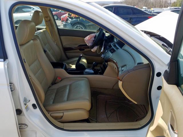 1HGCP26879A086417 - 2009 HONDA ACCORD EXL  photo 5