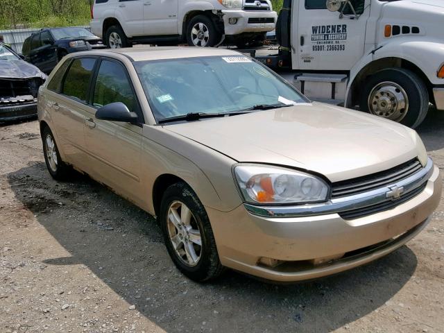 1G1ZT62895F257529 - 2005 CHEVROLET MALIBU MAX ოქროსფერი ფოტო 1