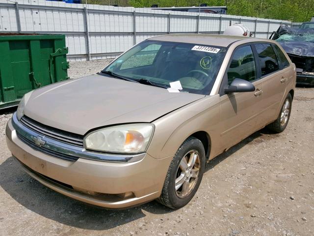 1G1ZT62895F257529 - 2005 CHEVROLET MALIBU MAX ოქროსფერი ფოტო 2