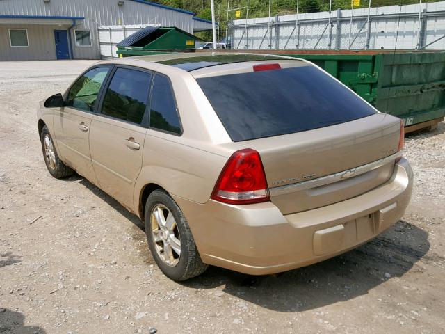 1G1ZT62895F257529 - 2005 CHEVROLET MALIBU MAX ოქროსფერი ფოტო 3
