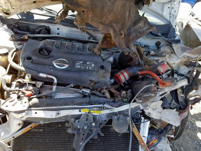 3N1AB51D53L721731 - 2003 NISSAN SENTRA SE- WHITE photo 7