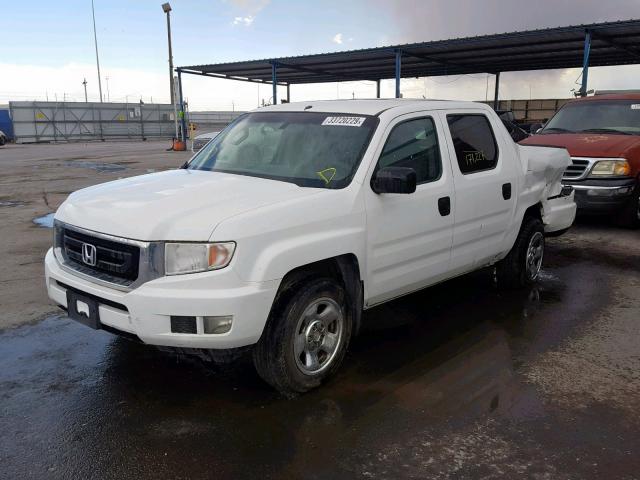 5FPYK1F25AB010495 - 2010 HONDA RIDGELINE WHITE photo 2