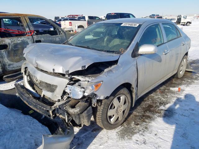 2T1BU4EE0AC206466 - 2010 TOYOTA COROLLA BASE  photo 2