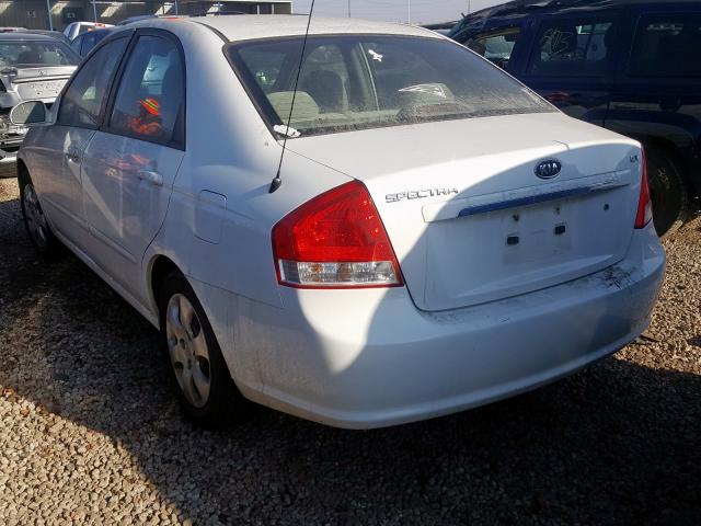 KNAFE122575467022 - 2007 KIA SPECTRA EX  photo 3