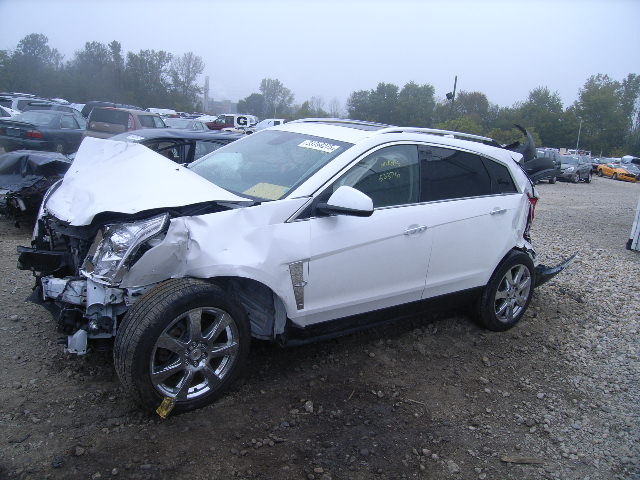 3GYFNBEY0BS595718 - 2011 CADILLAC SRX PERFOR WHITE photo 10