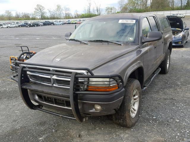 1D7HG38N74S622708 - 2004 DODGE DAKOTA QUA GRAY photo 2