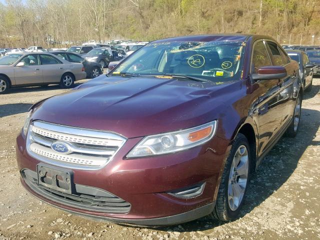 1FAHP2EW0BG112000 - 2011 FORD TAURUS SEL BURGUNDY photo 2