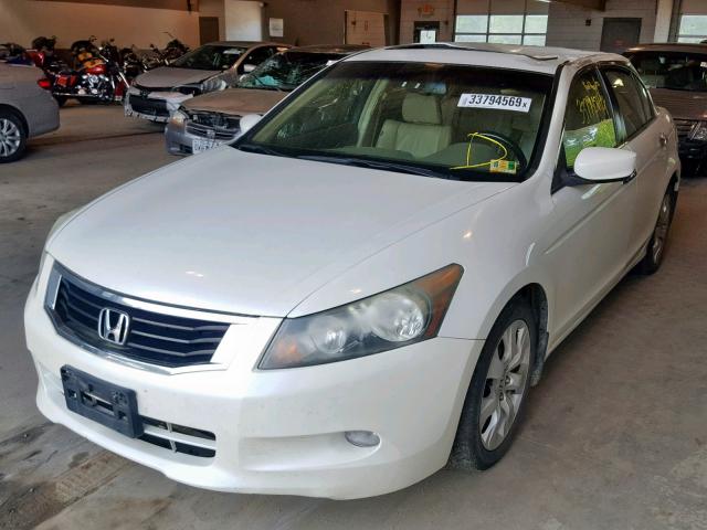 1HGCP36818A042353 - 2008 HONDA ACCORD EXL WHITE photo 2