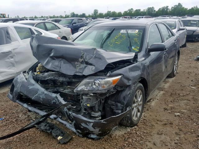 4T1BB3EKXAU120165 - 2010 TOYOTA CAMRY HYBR GRAY photo 2