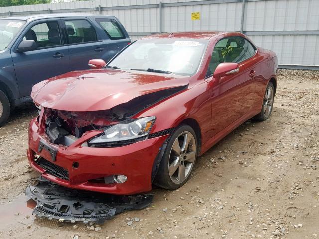 JTHFF2C28B2520857 - 2011 LEXUS IS 250 RED photo 2