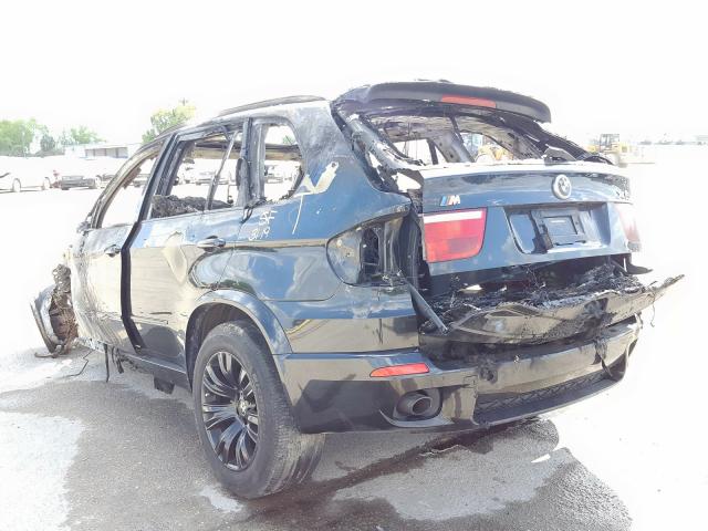 5UXFE43589L274843 - 2009 BMW X5 XDRIVE30I  photo 3