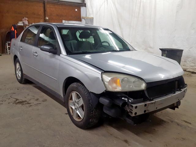 1G1ZT52864F244567 - 2004 CHEVROLET MALIBU LS  photo 1