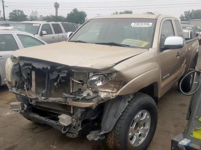 5TETX62N25Z125884 - 2005 TOYOTA TACOMA PRE CREAM photo 2