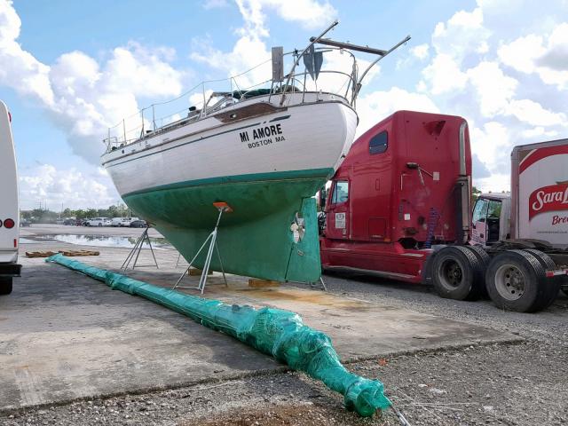 TYA372520381 - 1981 OTHER BOAT WHITE photo 3