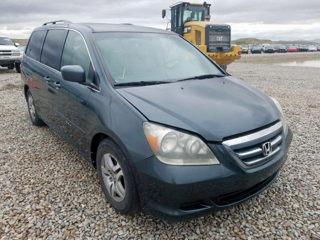 5FNRL38405B402701 - 2005 HONDA ODYSSEY EX  photo 1