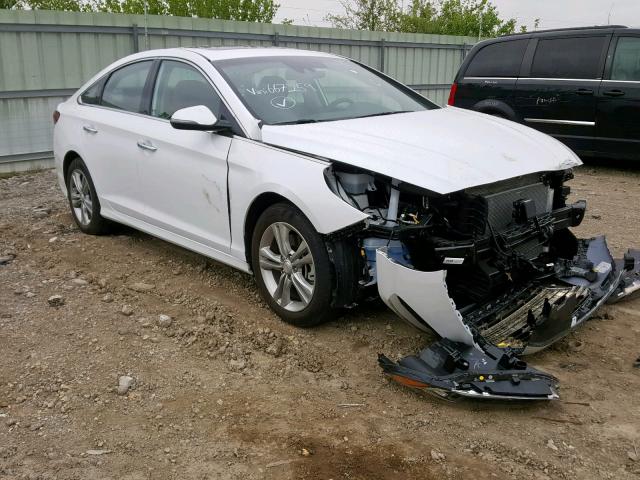 5NPE34AF4JH667259 - 2018 HYUNDAI SONATA SPO WHITE photo 1