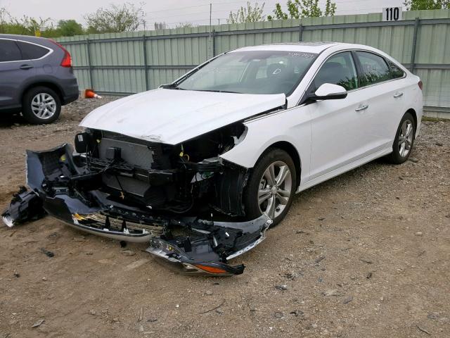 5NPE34AF4JH667259 - 2018 HYUNDAI SONATA SPO WHITE photo 2