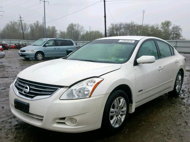 1N4CL2AP7AC117916 - 2010 NISSAN ALTIMA HYB WHITE photo 2