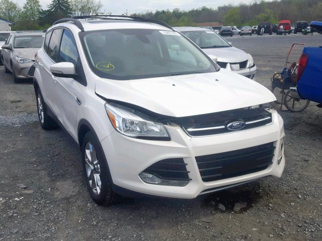 1FMCU0HX4DUC51858 - 2013 FORD ESCAPE SEL WHITE photo 1